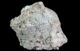 Crystal Filled Dugway Geode (Polished Half) #67476-3